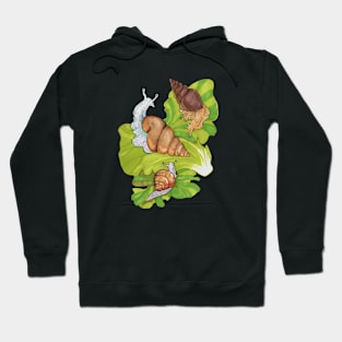 Lettuce Snails Hoodie